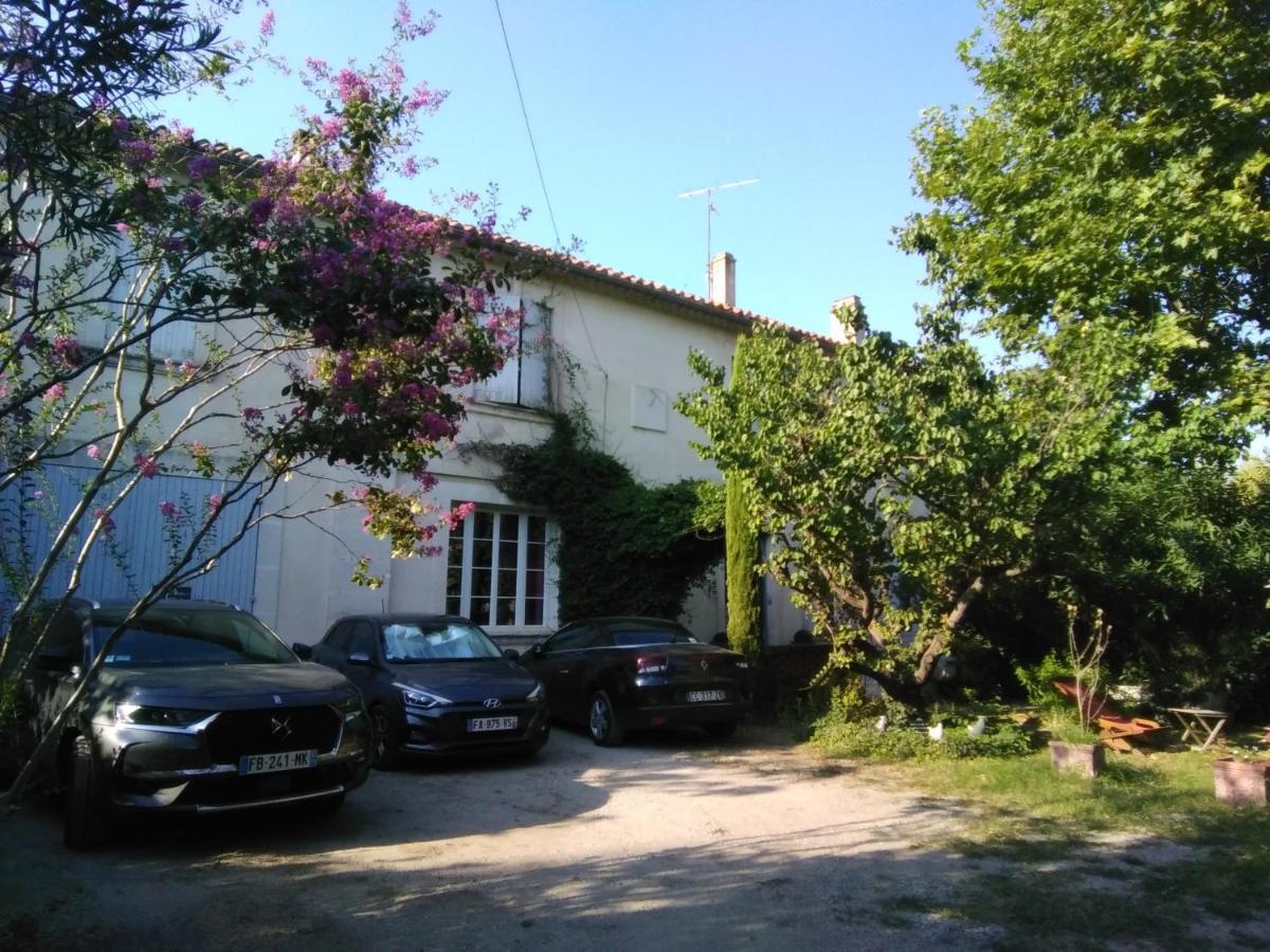 Le Petit Palais Maisonnette Aparthotel Avignon Exteriör bild